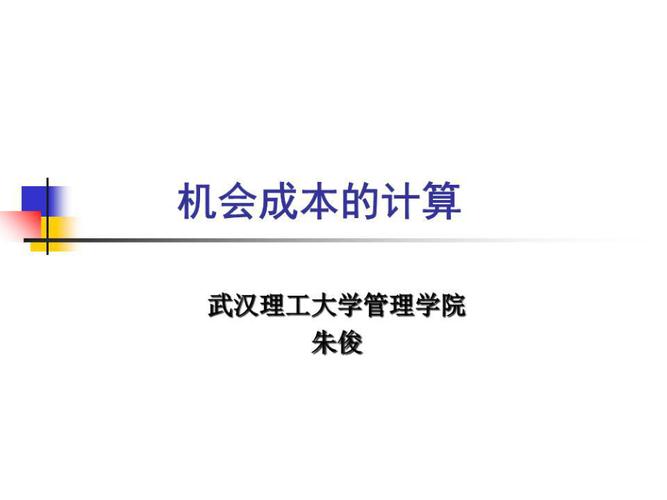 武汉理工大学管理学院朱俊关于机会成本的计算相关信息展示