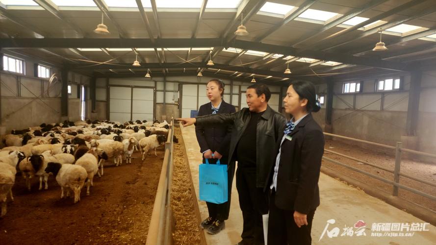 中国邮政储蓄银行抗疫贷款_邮储银行支持复工复产金融服务_中国邮政储蓄银行的登录密码是什么