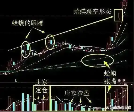 股市盈利技巧_庄股连续3天收盘价一样_主力洗盘时间空间