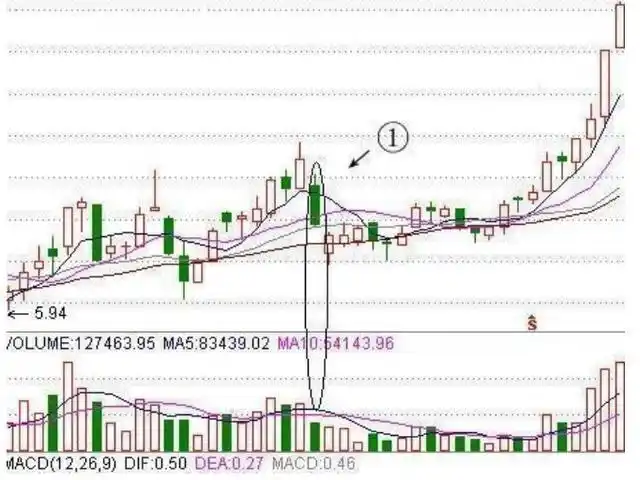 长期投资策略_股票尾盘放量拉升好吗_尾盘拉升分析