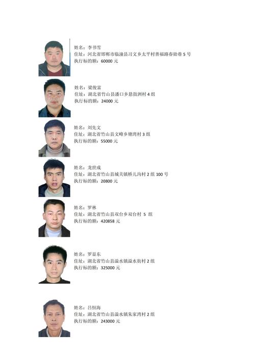 委、局等相关单位发布本批次严重失信主体名单，含新增失信情况