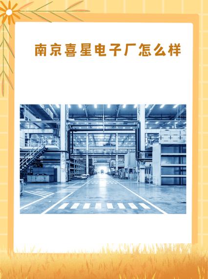 YOHO有货公司怎么样？南京总部员工待遇和发展机会深度解析