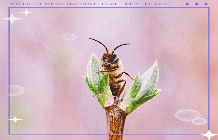 兴业银行APP转账延迟原因_兴业银行APP转账延迟解决方案_兴业银行工资到账时间