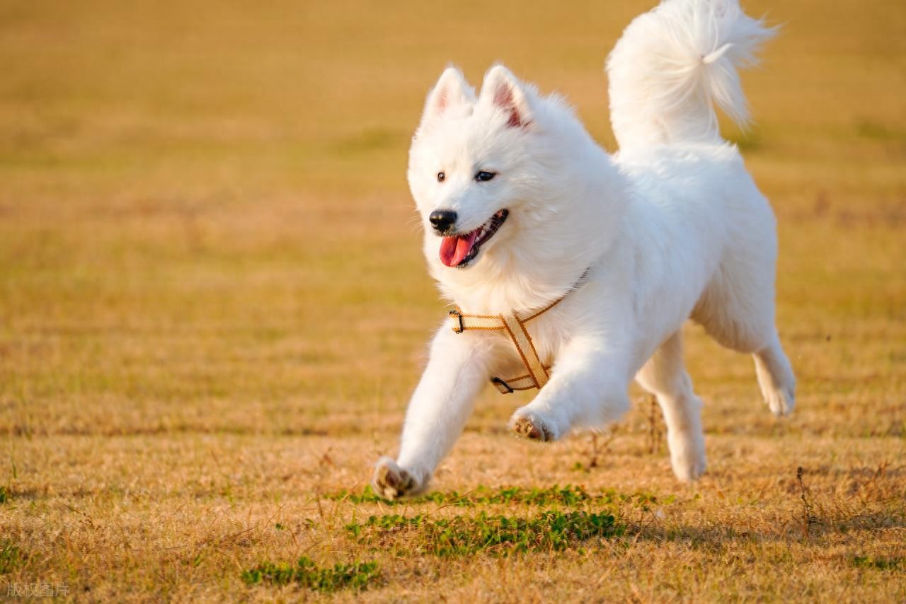 人性与心理_市场规律与周期_股票 证明需要费用吗