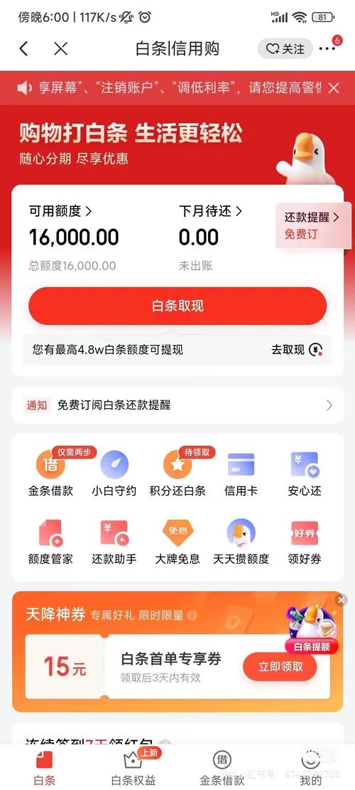 怎么提高白条取现的额度_刷白条技巧_白条额度提升方法