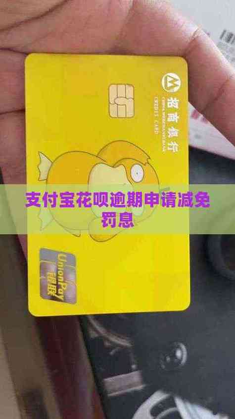 支付宝信用卡罚息减免方法_支付宝信用卡逾期罚息如何处理_怎么要回信用卡的罚息