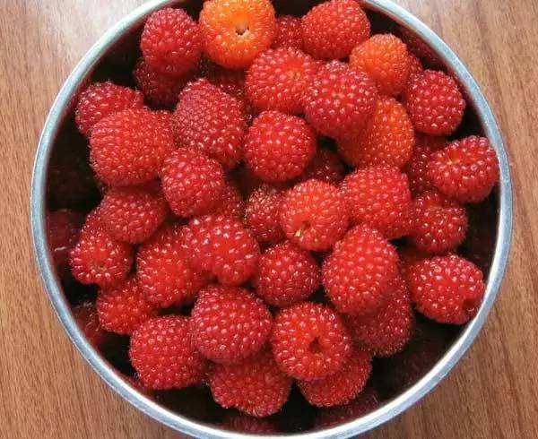 客家山野果_山货店要多大投资_客家野果