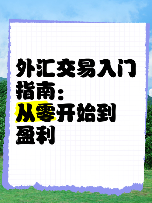 新手必看！普通人投资外汇入门指南，超接地气大白话讲解