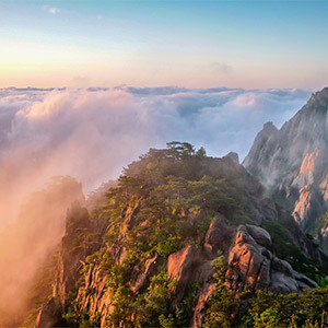 没身份证怎么买手机卡_证身份买卡没手机号能用吗_证身份买卡没手机号怎么办