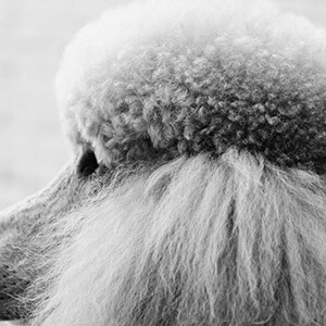 证身份买卡没手机号能用吗_证身份买卡没手机号怎么办_没身份证怎么买手机卡