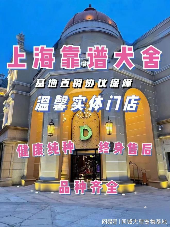 上海来福乐猫犬舍（闵行店）：繁忙都市中爱宠人士的信赖之选