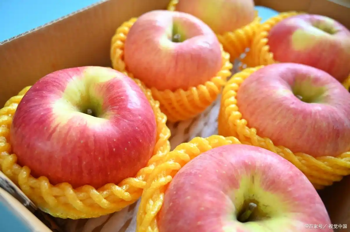 在家赚钱方法_小本创业项目_现在什么小本生意好做