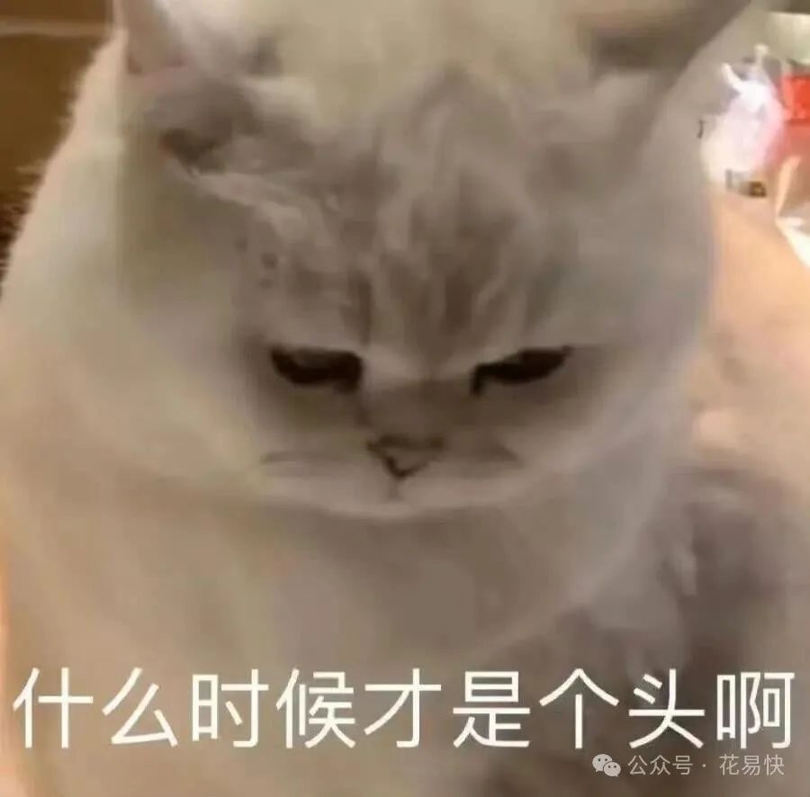 利率信用法律卡年利率多少_2021年信用卡年利率_关于信用卡年利率的法律