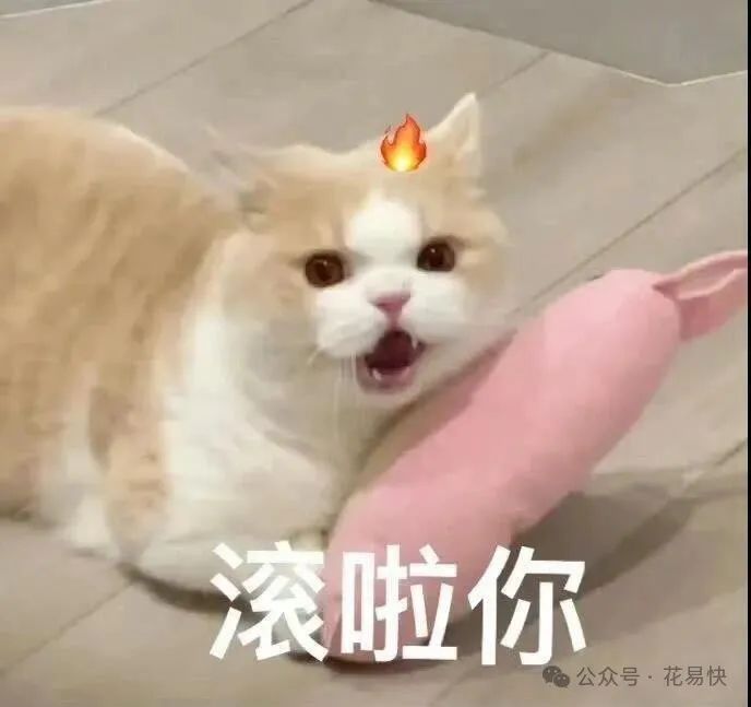 关于信用卡年利率的法律_2021年信用卡年利率_利率信用法律卡年利率多少