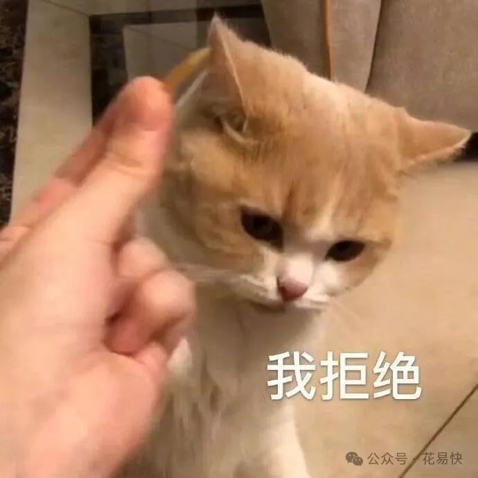 2021年信用卡年利率_利率信用法律卡年利率多少_关于信用卡年利率的法律