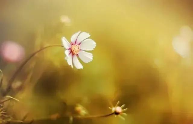 40岁失业逆袭_明年好的小本致富点子_中年人创业项目