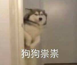 小规模纳税人免税普通发票开具要求_小规模纳税人增值税申报流程_小规模纳税人普票起征点