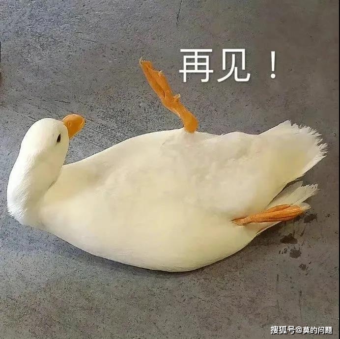 小规模纳税人免税普通发票开具要求_小规模纳税人普票起征点_小规模纳税人增值税申报流程