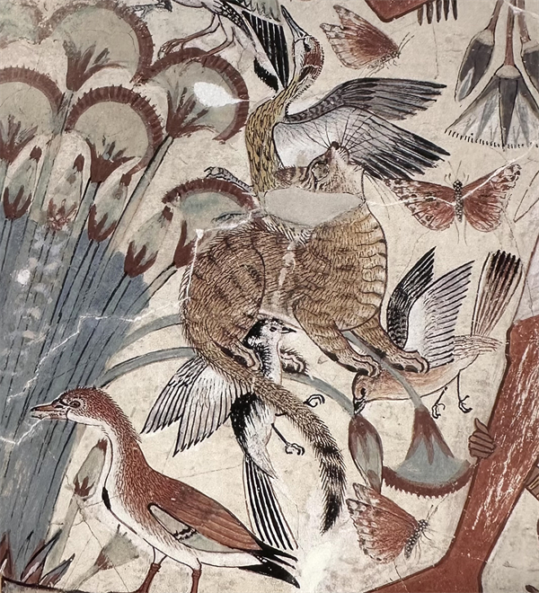 埃及猫可以带回中国吗_古埃及猫文化_古埃及猫壁画