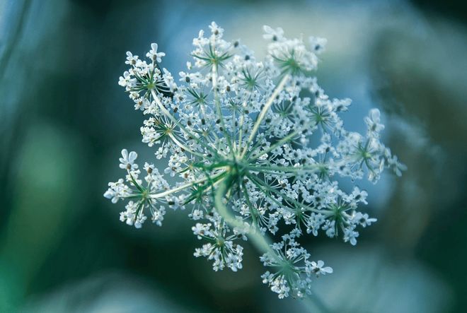 什么是看涨期权？看涨期权如何盈利？