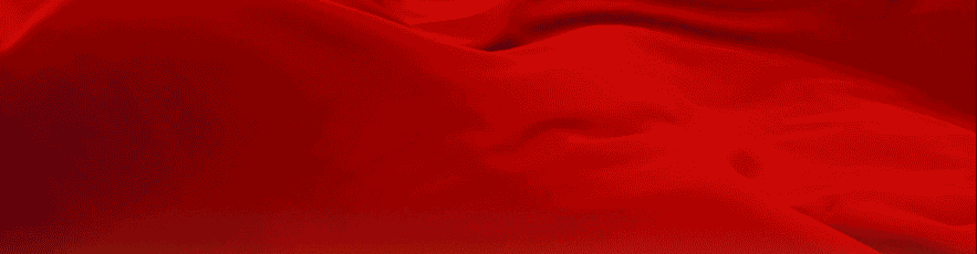 分公司投标合法吗？看清串标陷阱