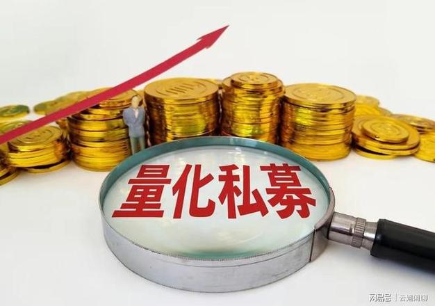 中国股票发行监管制度研究_新国九条 资本市场高质量发展 上市公司质量提升