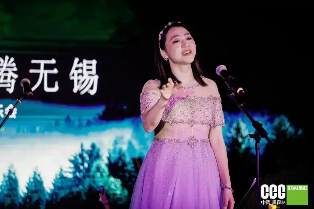 时光慢递音乐会无锡_中鹰黑森林 有哪些明星_中鹰黑森林音乐会无锡