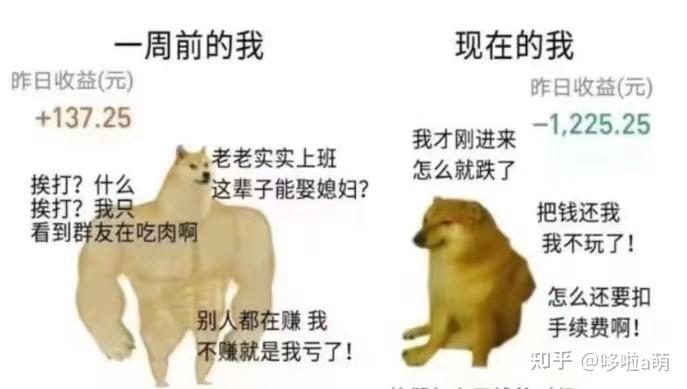 基金止损点设置周期_基金投资避坑指南_基金新手入门教程