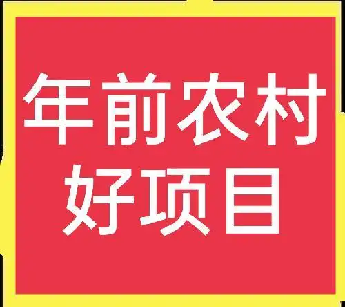 春节前小本生意，代理年货赚钱好机会
