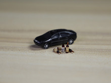 醉驾检察院可以求情吗